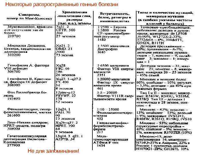 Некоторые распространенные генные болезни Не для запоминания! 