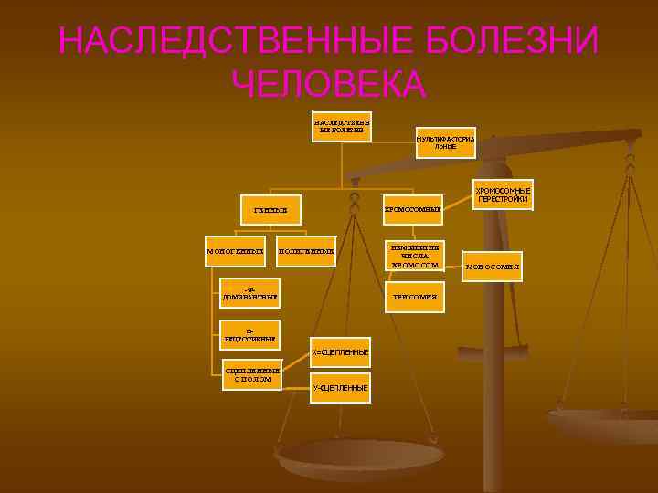 НАСЛЕДСТВЕННЫЕ БОЛЕЗНИ ЧЕЛОВЕКА НАСЛЕДСТВЕНН ЫЕ БОЛЕЗНИ МУЛЬТИФАКТОРИА ЛЬНЫЕ ХРОМОСОМНЫЕ ПЕРЕСТРОЙКИ ГЕННЫЕ ХРОМОСОМНЫЕ ИЗМЕНЕНИЕ МОНОГЕННЫЕ