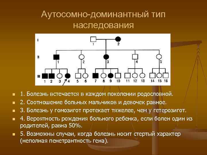  Аутосомно-доминантный тип наследования n 1. Болезнь встечается в каждом поколении родословной. n 2.