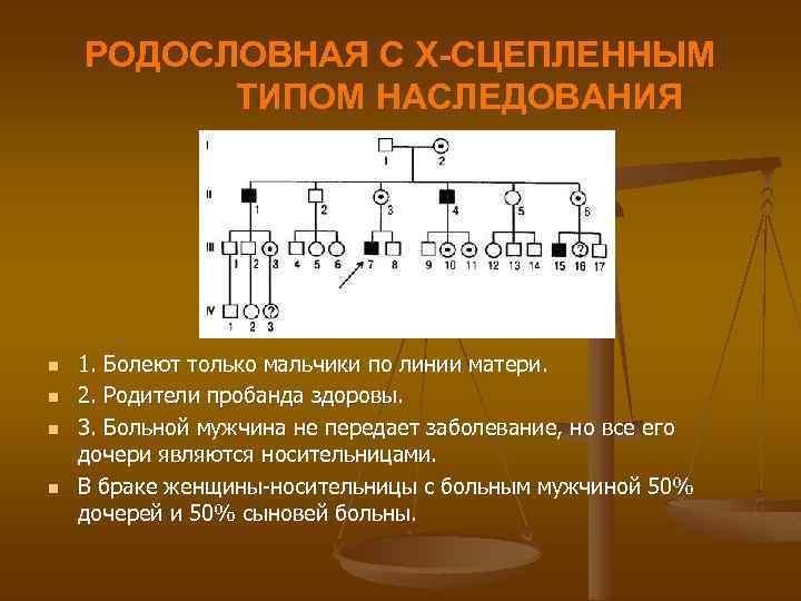  РОДОСЛОВНАЯ С Х-СЦЕПЛЕННЫМ ТИПОМ НАСЛЕДОВАНИЯ n 1. Болеют только мальчики по линии матери.