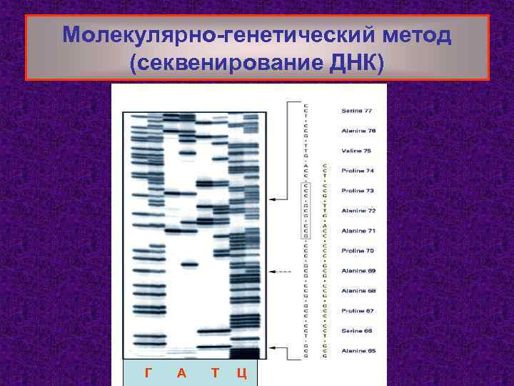 Молекулярно-генетический метод (секвенирование ДНК) Г А Т Ц 