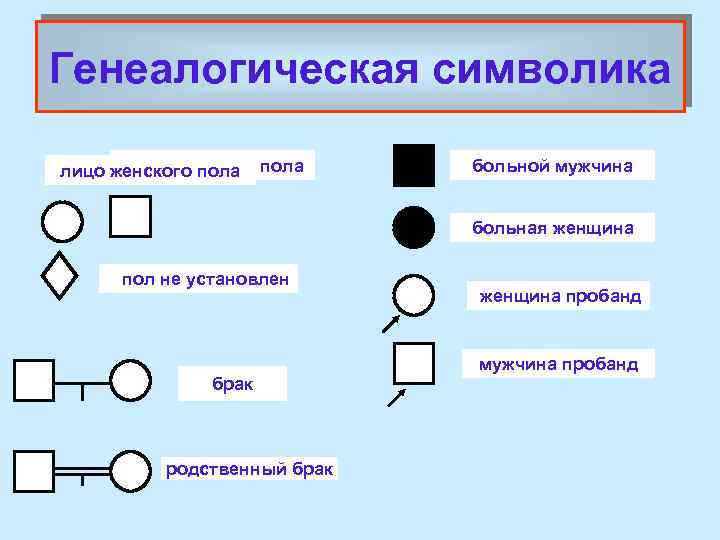 Генеалогическая символика лицо мужского лицо женского пола больной мужчина больная женщина пол не установлен