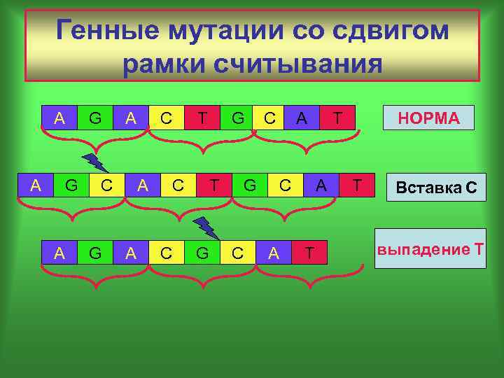 Рамка считывания