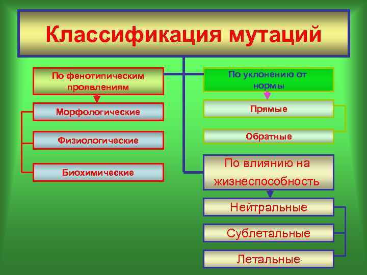 Классификация мутаций По фенотипическим проявлениям По уклонению от нормы Морфологические Прямые Физиологические Обратные Биохимические