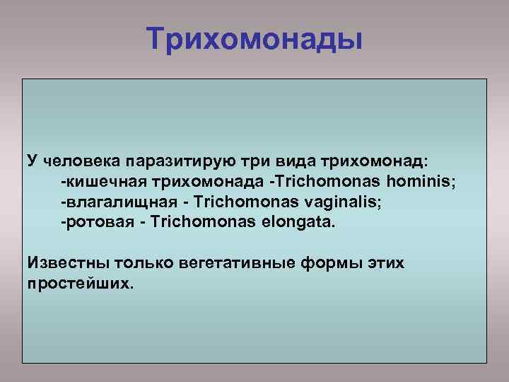 Трихомонады У человека паразитирую три вида трихомонад: -кишечная трихомонада -Trichomonas hominis; -влагалищная - Trichomonas