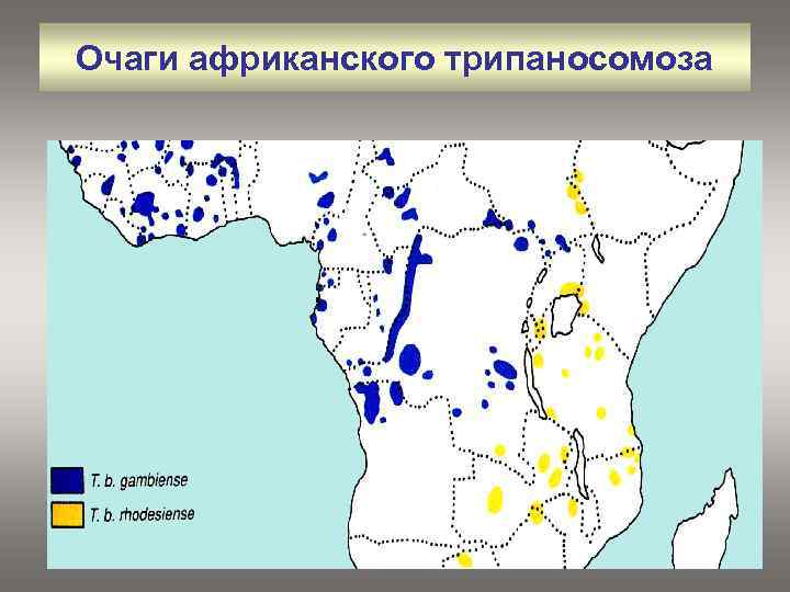 Очаги африканского трипаносомоза 