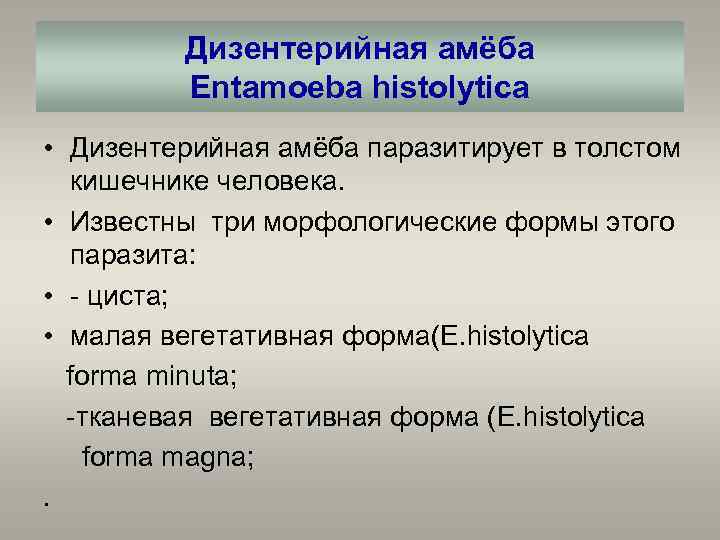 Дизентерийная амёба Entamoeba histolytica • Дизентерийная амёба паразитирует в толстом кишечнике человека. • Известны