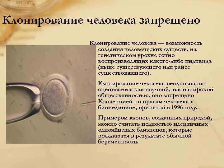 Клонирование человека запрещено Клонирование человека — возможность создания человеческих существ, на генетическом уровне точно