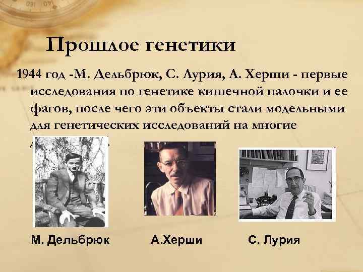 Прошлое генетики 1944 год -М. Дельбрюк, С. Лурия, А. Херши - первые исследования по
