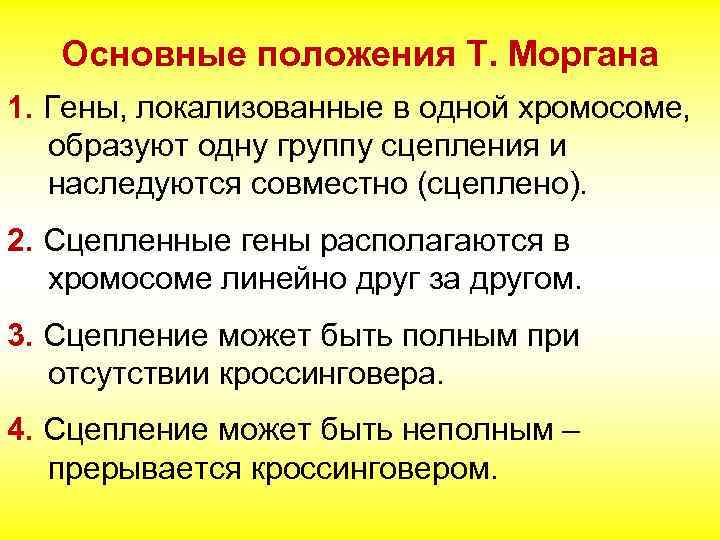 Основные положения Т. Моргана 1. Гены, локализованные в одной хромосоме, образуют одну группу сцепления