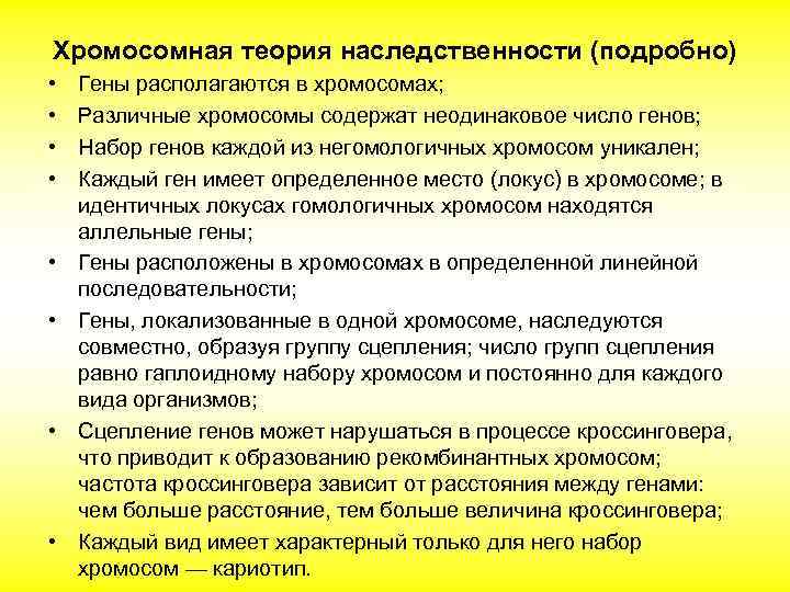 Хромосомная теория наследственности (подробно) • • Гены располагаются в хромосомах; Различные хромосомы содержат неодинаковое