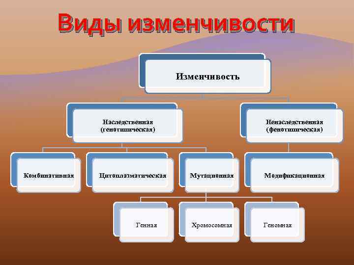 Генотипические особенности человека схема рационального питания