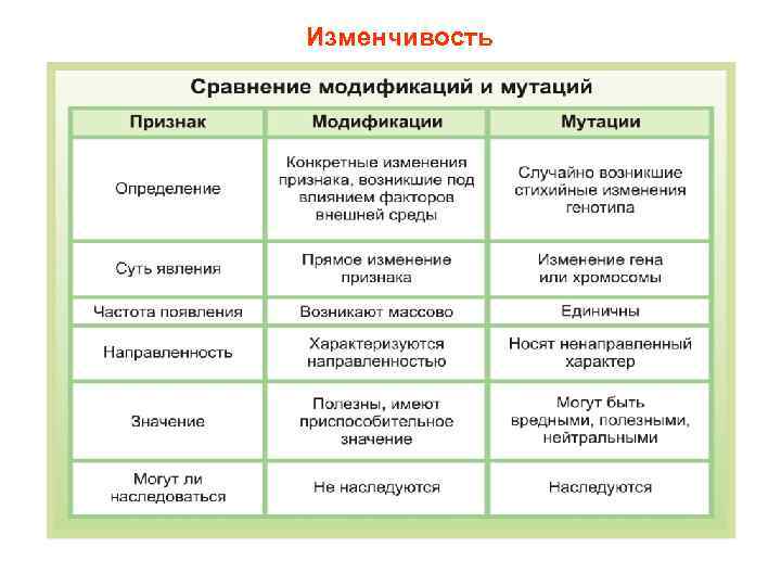 Изменчивость 