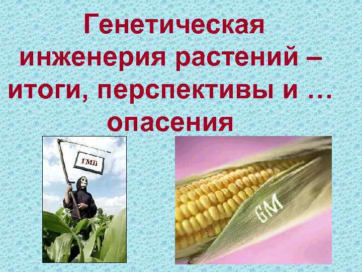 Генетическая инженерия растений – итоги, перспективы и … опасения 