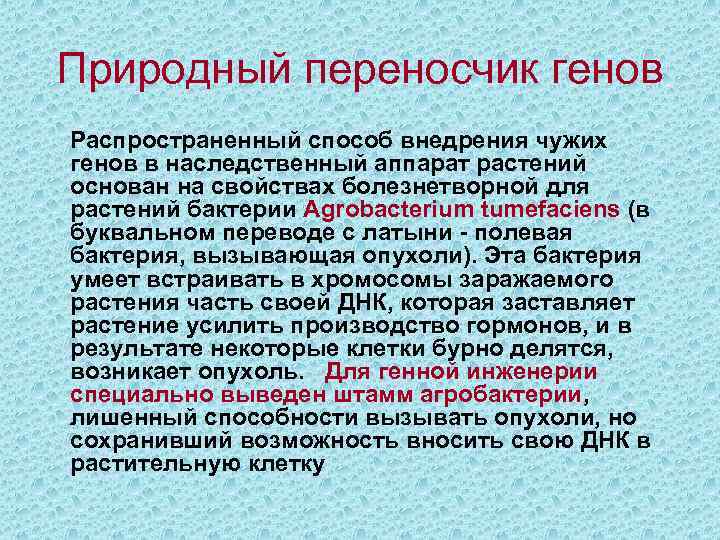 Природный переносчик генов Распространенный способ внедрения чужих генов в наследственный аппарат растений основан на