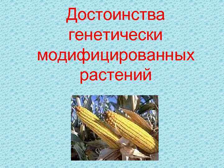 Достоинства генетически модифицированных растений 