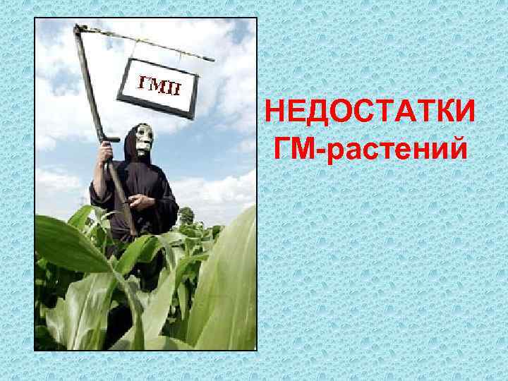 НЕДОСТАТКИ ГМ-растений 