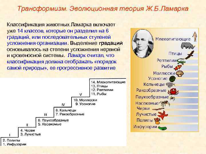 Возникновение и история развития теории эволюции презентация