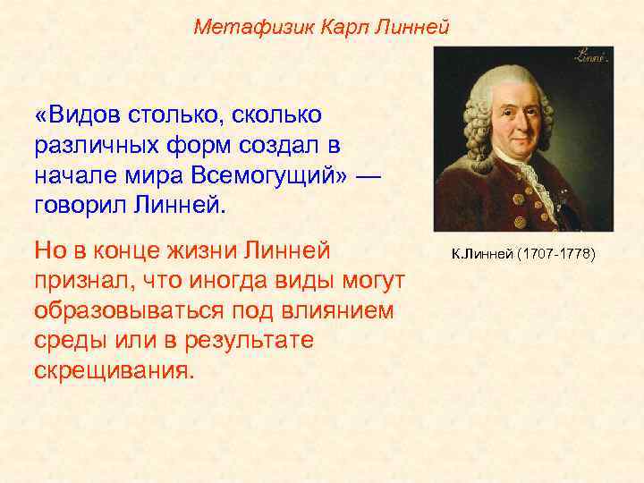 Метафизик Карл Линней «Видов столько, сколько различных форм создал в начале мира Всемогущий» —