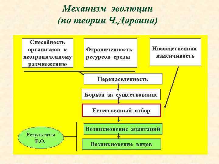 Возникновение современной теории эволюции план урока