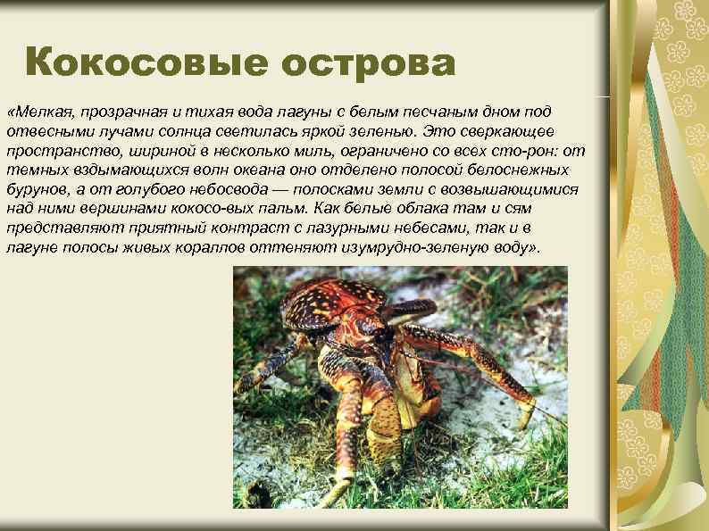 Кокосовые острова «Мелкая, прозрачная и тихая вода лагуны с белым песчаным дном под отвесными