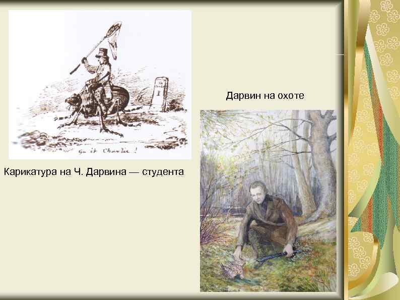 Дарвин на охоте Карикатура на Ч. Дарвина — студента 