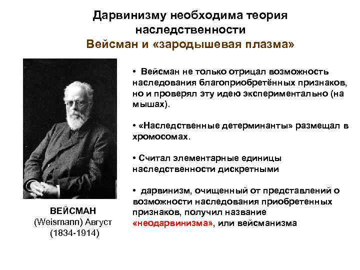 Дарвинизму необходима теория наследственности Вейсман и «зародышевая плазма» • Вейсман не только отрицал возможность