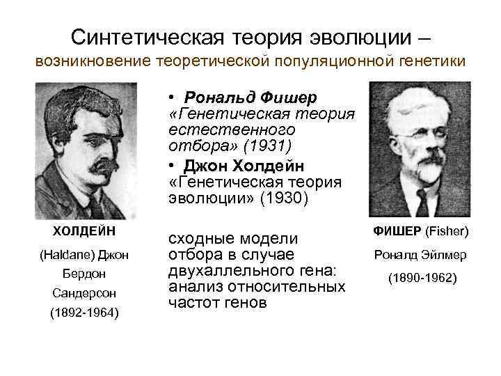 Синтетическая теория эволюции – возникновение теоретической популяционной генетики • Рональд Фишер «Генетическая теория естественного