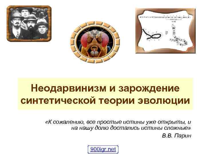 Неодарвинизм и зарождение синтетической теории эволюции «К сожалению, все простые истины уже открыты, и