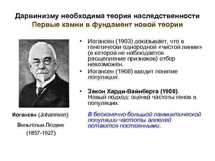 Дарвинизму необходима теория наследственности Первые камни в фундамент новой теории • Иогансен (1903) доказывает,