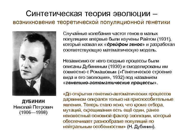 Синтетическая теория эволюции – возникновение теоретической популяционной генетики Случайные колебания частот генов в малых