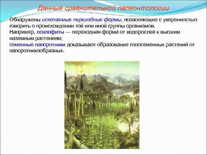 Данные сравнительной палеонтологии Обнаружены ископаемые переходные формы, позволяющие с уверенностью говорить о происхождении той