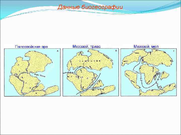 Данные биогеографии 