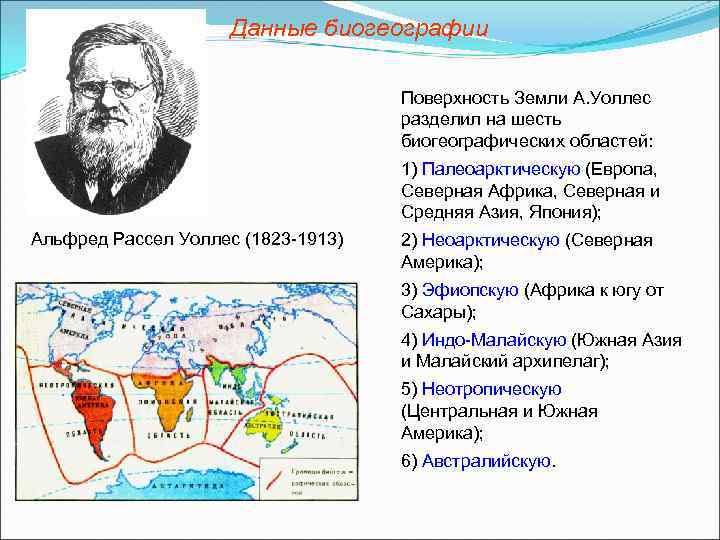 Данные биогеографии Поверхность Земли А. Уоллес разделил на шесть биогеографических областей: 1) Палеоарктическую (Европа,