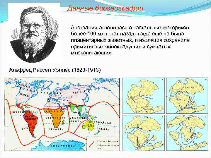 Данные биогеографии Австралия отделилась от остальных материков более 100 млн. лет назад, тогда еще