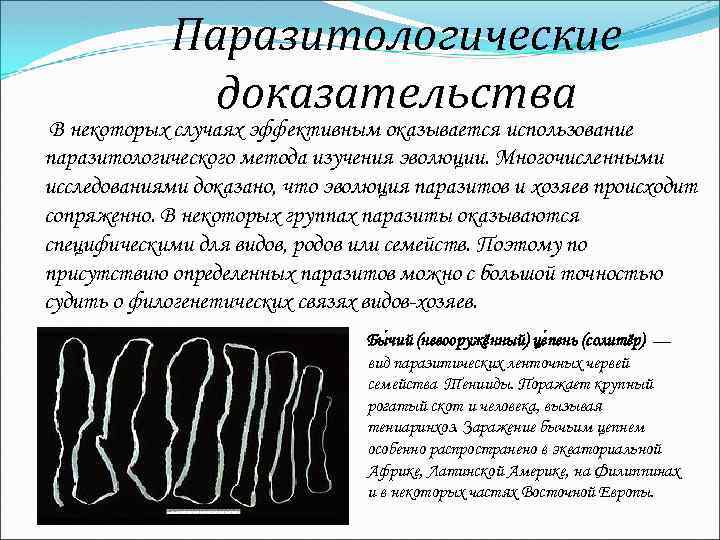 Паразитологические доказательства В некоторых случаях эффективным оказывается использование паразитологического метода изучения эволюции. Многочисленными исследованиями