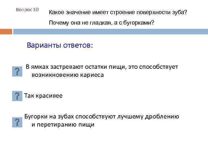 Вопрос 10 Какое значение имеет строение поверхности зуба? Почему она не гладкая, а с