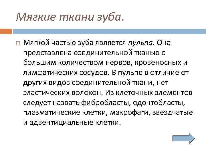 Мягкие ткани зуба. Мягкой частью зуба является пульпа. Она представлена соединительной тканью с большим