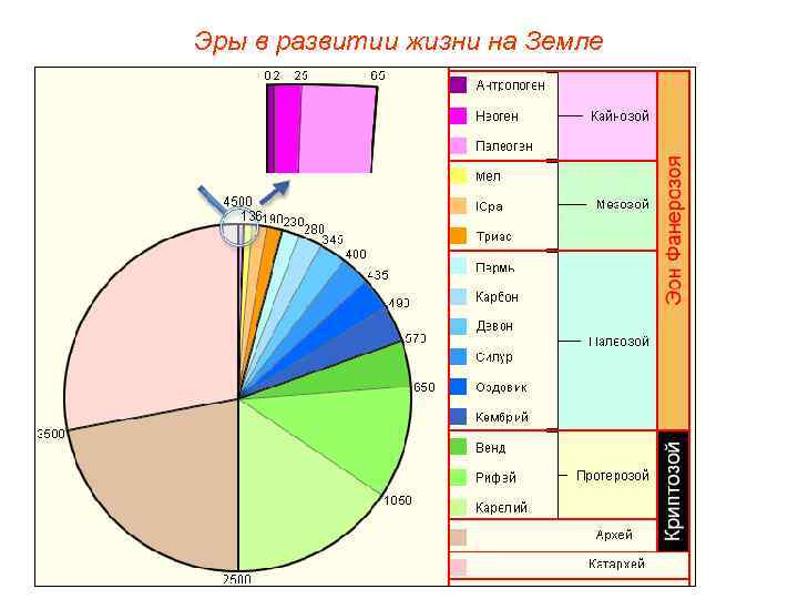 Эры в развитии жизни на Земле 