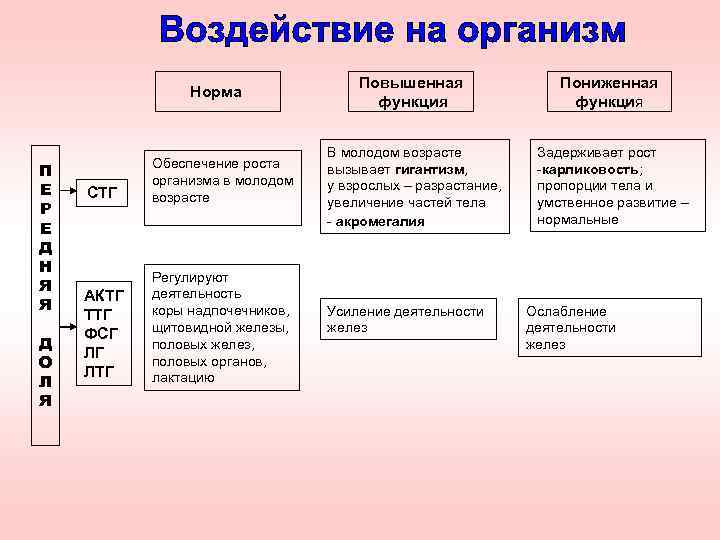 Норма П Е Р Е Д Н Я Я Д О Л Я СТГ