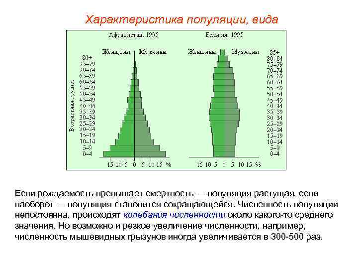 Характеристика популяции, вида Если рождаемость превышает смертность — популяция растущая, если наоборот — популяция