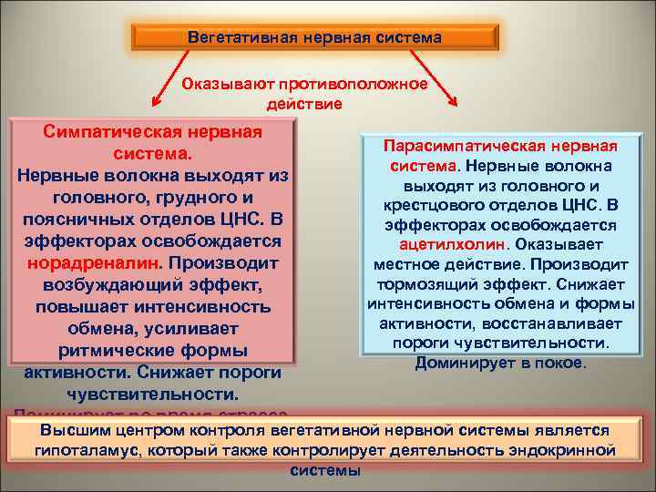 Оказать система. Гуморальная и вегетативная нервная система. Высшие центры ВНС. Иерархия вегетативного контроля. Высший центр контроля за деятельностью ВНС являются.