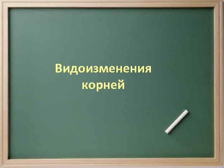 Видоизменения корней 