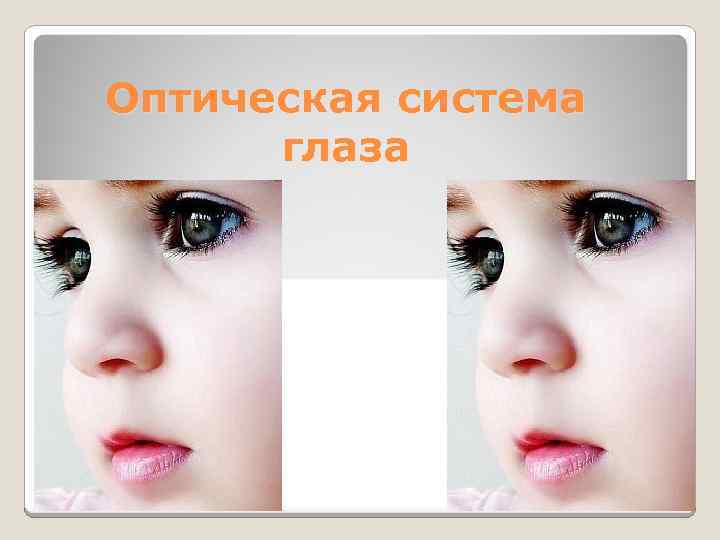 Оптическая система глаза 