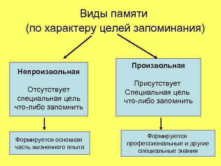 Виды памяти (по характеру целей запоминания) Непроизвольная Отсутствует специальная цель что-либо запомнить Формируется основная