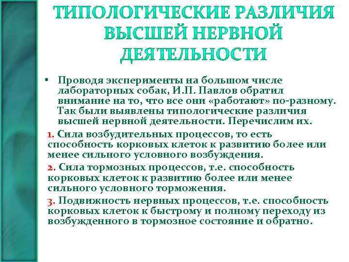  • Проводя эксперименты на большом числе лабораторных собак, И. П. Павлов обратил внимание