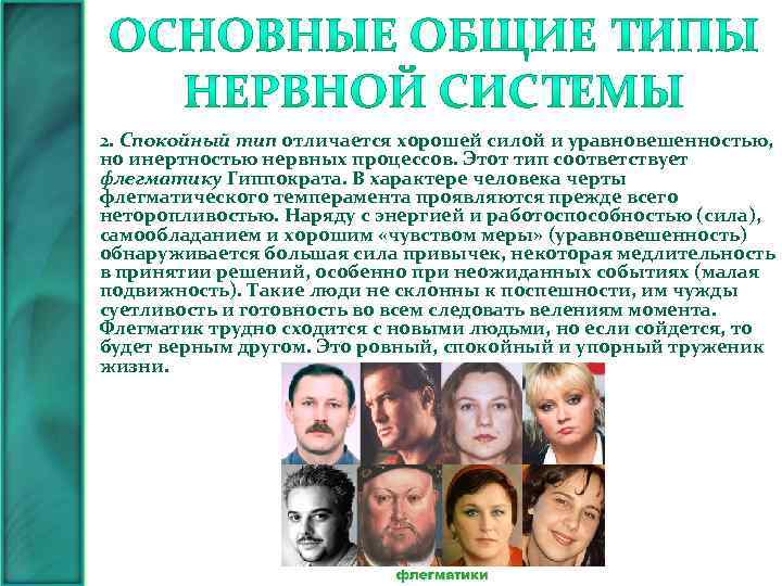 2. Спокойный тип отличается хорошей силой и уравновешенностью, но инертностью нервных процессов. Этот тип