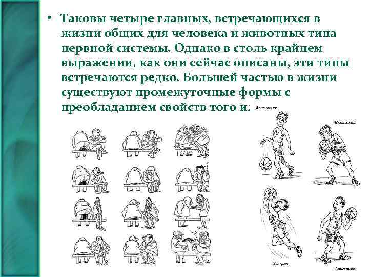  • Таковы четыре главных, встречающихся в жизни общих для человека и животных типа