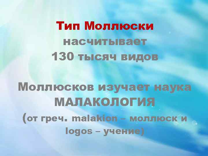 Тип Моллюски насчитывает 130 тысяч видов Моллюсков изучает наука МАЛАКОЛОГИЯ (от греч. malakion –