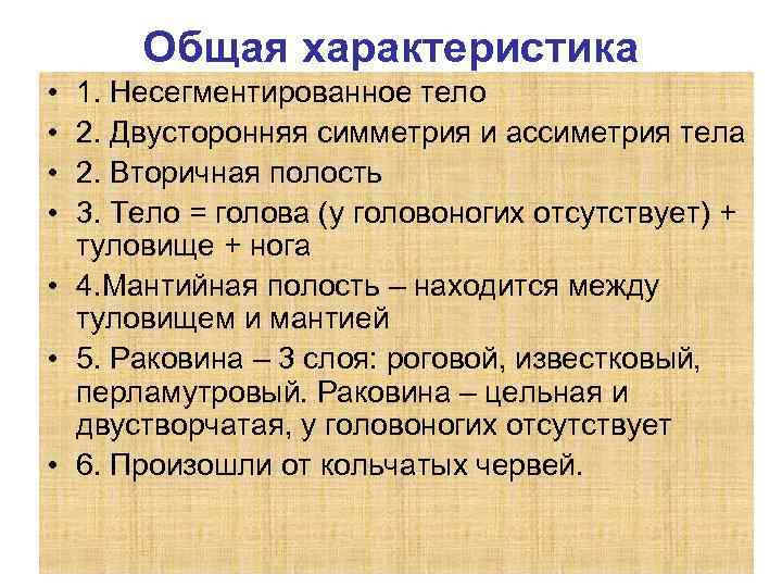 Общая характеристика • • 1. Несегментированное тело 2. Двусторонняя симметрия и ассиметрия тела 2.